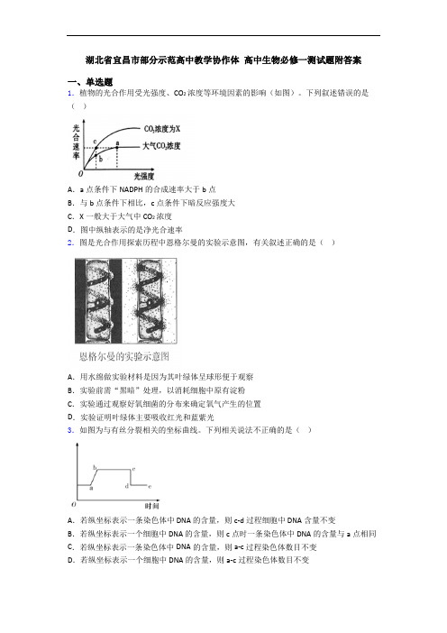 湖北省宜昌市部分示范高中教学协作体 高中生物必修一测试题附答案