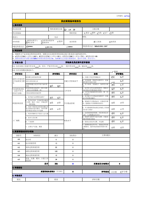 供应商现场审核报告 