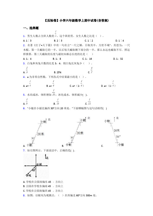 【压轴卷】小学六年级数学上期中试卷(含答案)