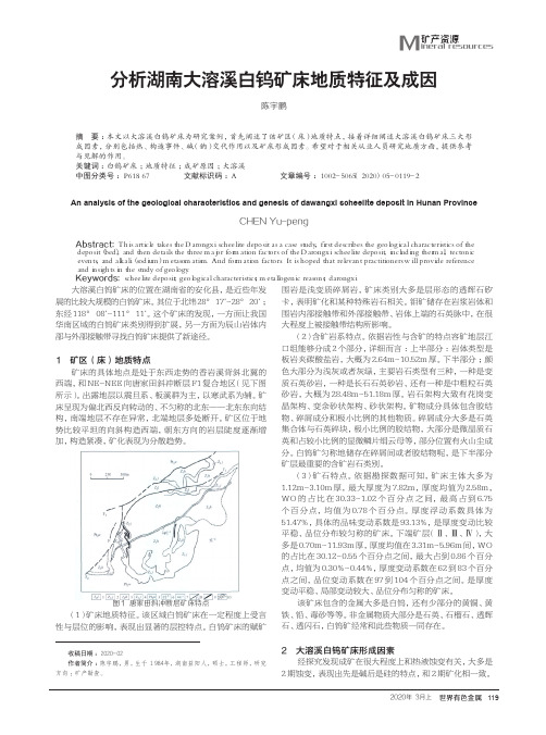 分析湖南大溶溪白钨矿床地质特征及成因