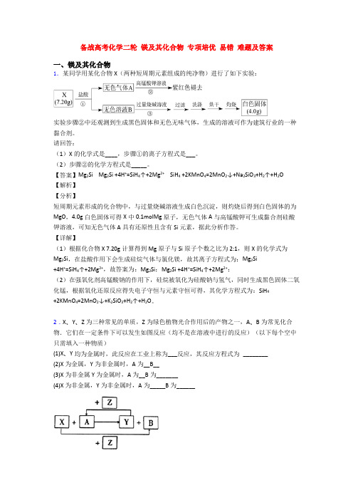 备战高考化学二轮 镁及其化合物 专项培优 易错 难题及答案