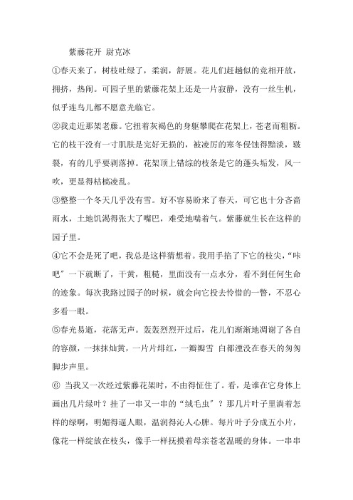 现代文紫藤花开阅读理解及答案精选