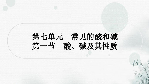 鲁教版中考化学复习第七单元常见的酸和碱第一节酸、碱及其性质课件