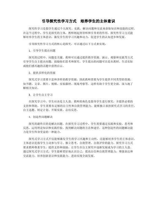 引导探究性学习方式  培养学生的主体意识