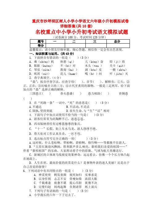 重庆市沙坪坝区树人小学小学语文六年级小升初模拟试卷详细答案(共10套)