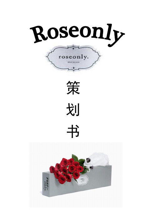 roseonly策划书最终版【范本模板】