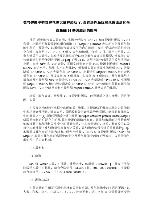 益气健脾中药对脾气虚大鼠神经肽Y、血管活性肠肽和丝裂原活化蛋白激酶14基因表达的影响