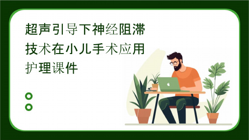 超声引导下神经阻滞技术在小儿手术应用护理课件