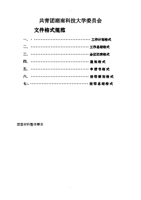 团委文件格式规范