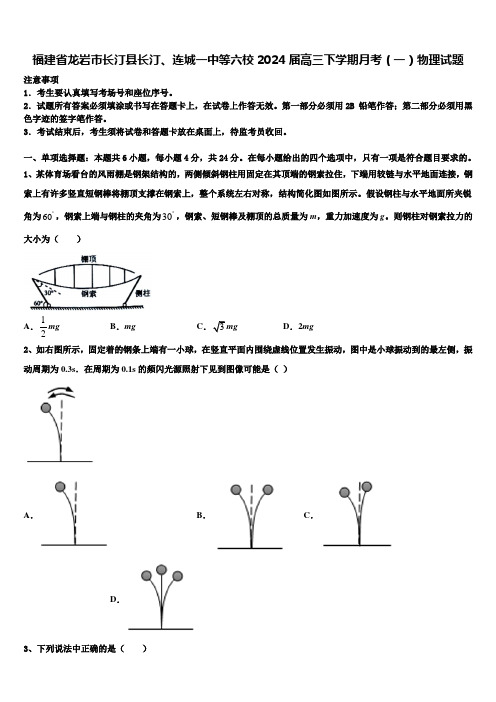 福建省龙岩市长汀县长汀、连城一中等六校2024届高三下学期月考(一)物理试题