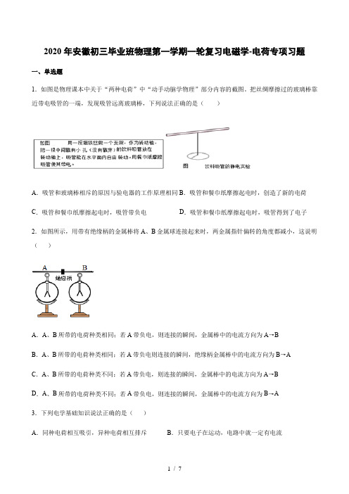 2020年安徽初三毕业班物理第一学期一轮复习电磁学-电荷专项习题