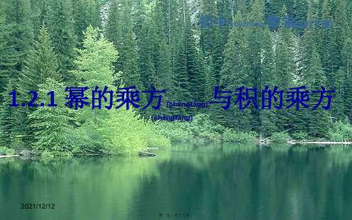 七年级数学下册 第一章 整式的乘除 1.2 幂的乘方与积的乘方 1.2.1 幂的乘方与积的乘方课件