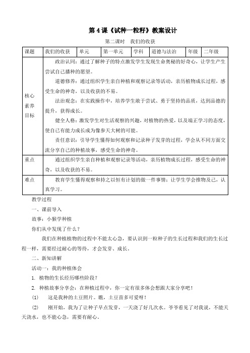 新统编部编版道德与法治二年级下册《试种一粒籽(第二课时)》优质教学设计