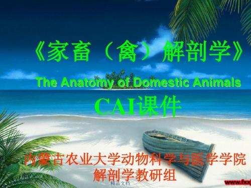 《家畜(禽)解剖学》The Anatomy of Domestic Animals CAI课件