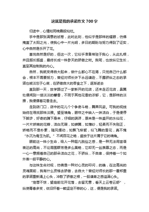 这就是我的承诺作文700字