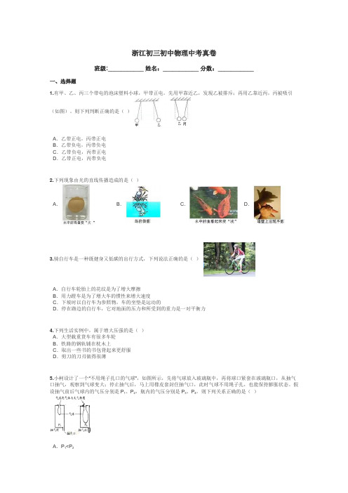 浙江初三初中物理中考真卷带答案解析
