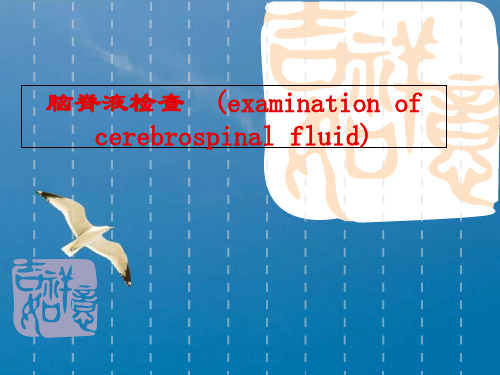 脑脊液常规及生系统检查ppt课件