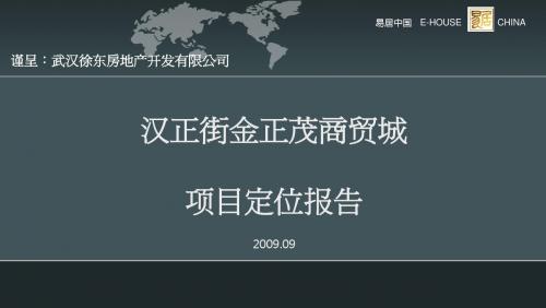 2009年9月武汉汉正街金正茂商贸城项目653576719