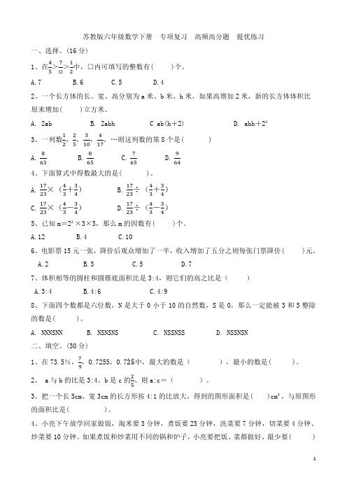 苏教版六年级数学下册 专项复习  高频高分题  提优练习 