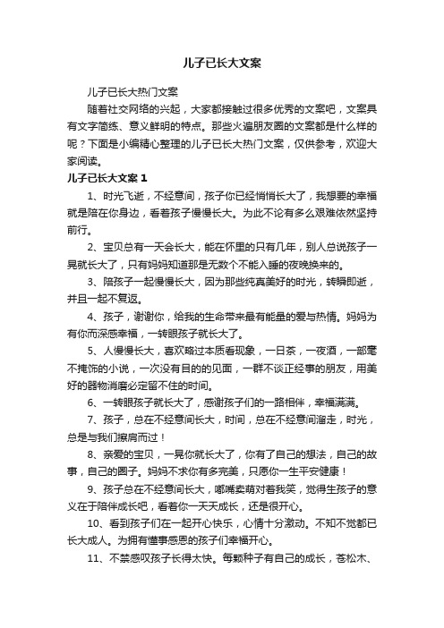 儿子已长大文案