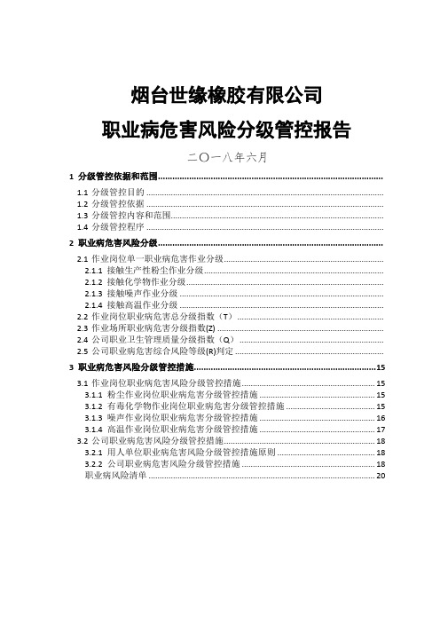 职业病危害风险分级报告