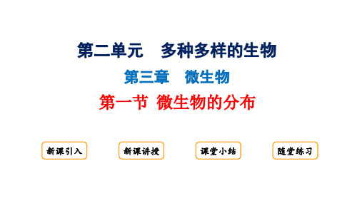 2.3.1微生物的分布课件+2024-2025学年人教版生物七年级上册