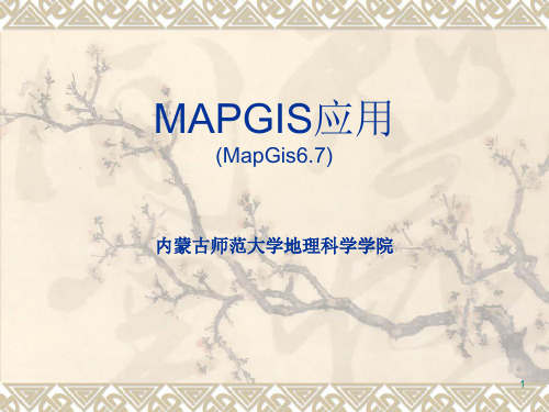 Mapgis操作详述步骤PPT课件