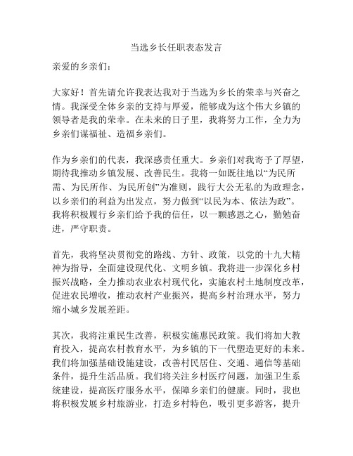 当选乡长任职表态发言