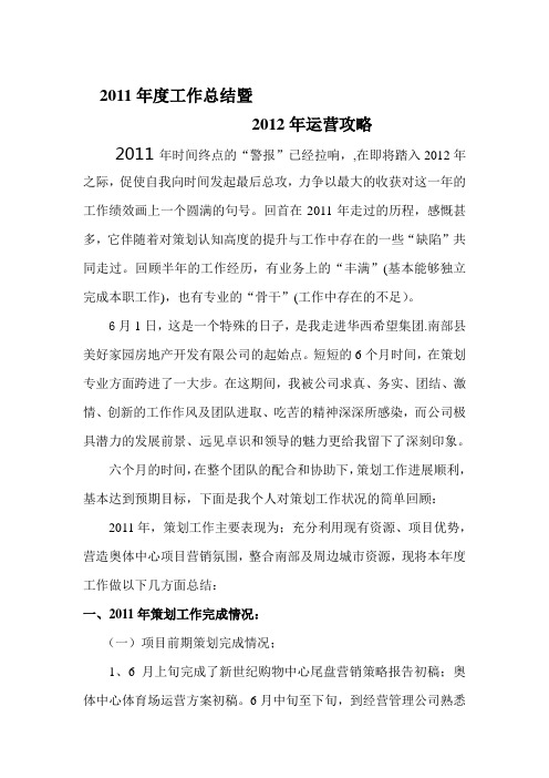 2011年房地产策划工作总结 陈良敏