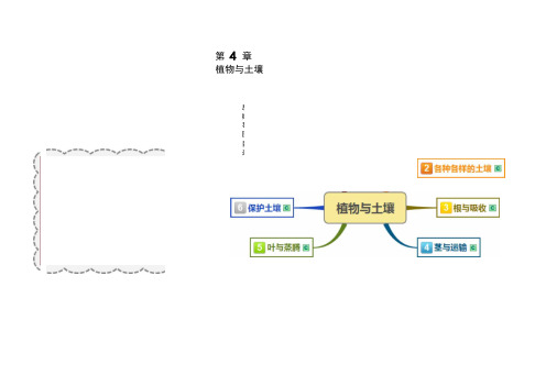 浙教版八年级科学下册第四章《植物与土壤》思维导图