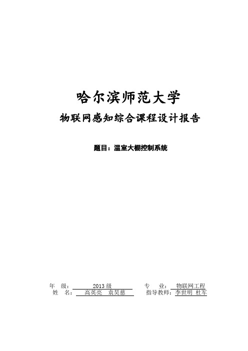 温室大棚控制系统-设计报告资料