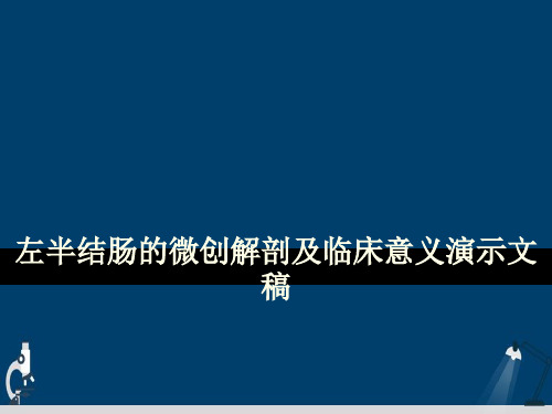 左半结肠的微创解剖及临床意义演示文稿