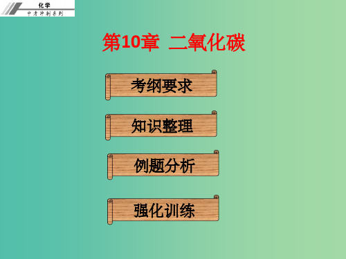 中考化学冲刺复习 第10章 二氧化碳 新人教版