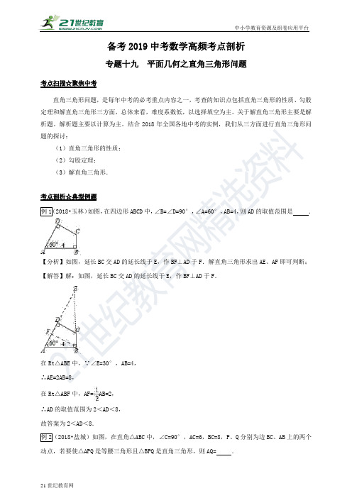 备考中考数学高频考点剖析专题19 平面几何之直角三角形问题（含解析）