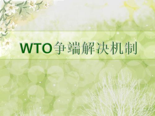 WTO争端解决机制案例分析优缺点及建议