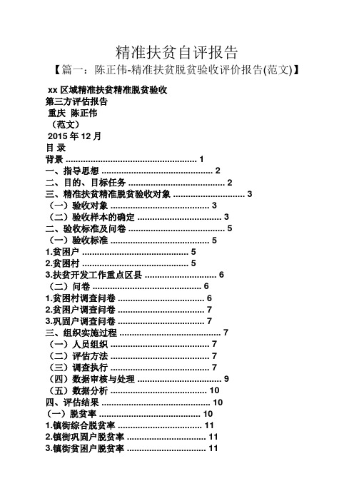 精准扶贫自评报告