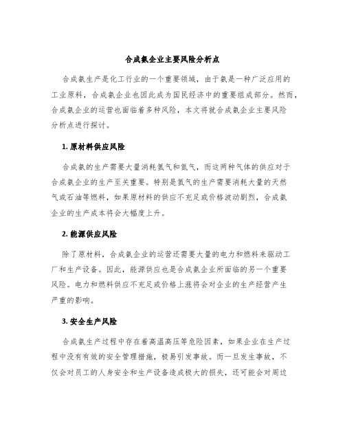 合成氨企业主要风险分析点