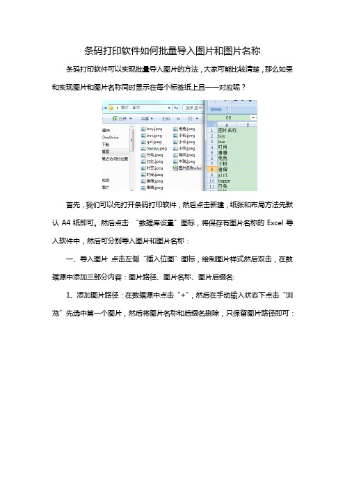 条码打印软件如何批量导入图片和图片名称