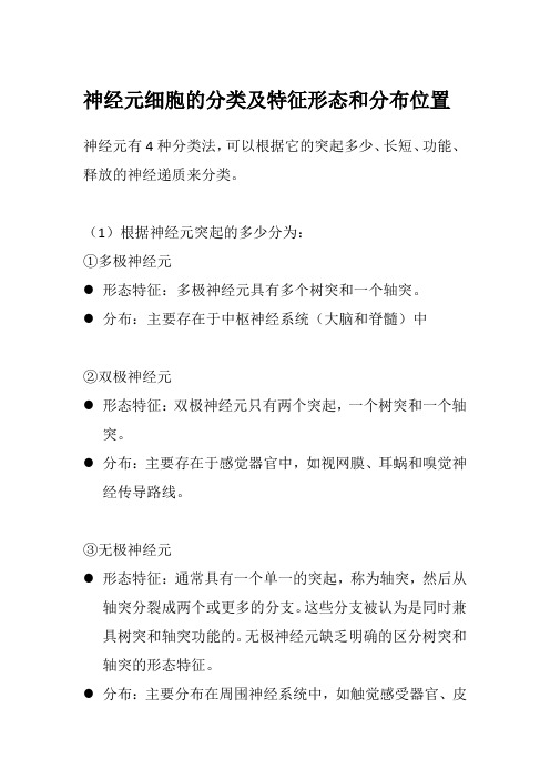 神经元细胞的分类及特征形态和分布位置