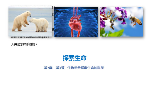 生物学是探索生命的科学课件北师大版生物七年级上册2