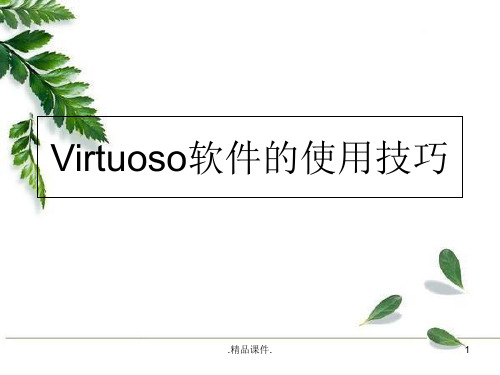 培训资料Virtuoso软件使用技巧