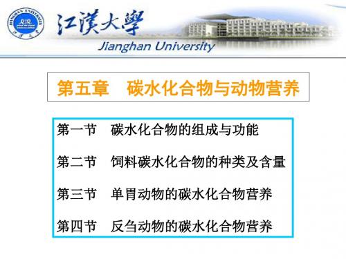 第5章碳水化合物与动物营养8ppt课件-文档资料