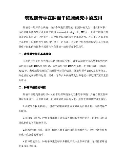 表观遗传学在肿瘤干细胞研究中的应用