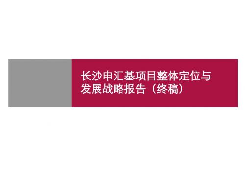 最新长沙项目整体定位与发展战略报告