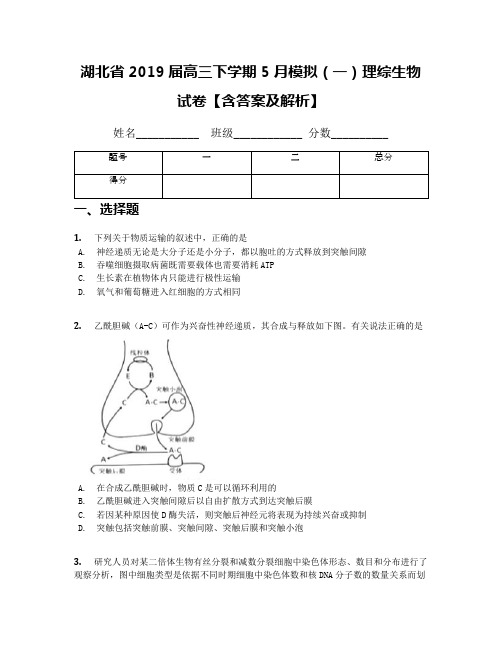 湖北省2019届高三下学期5月模拟(一)理综生物试卷【含答案及解析】