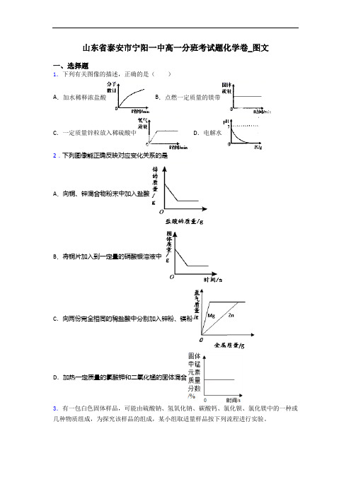 山东省泰安市宁阳一中高一分班考试题化学卷_图文