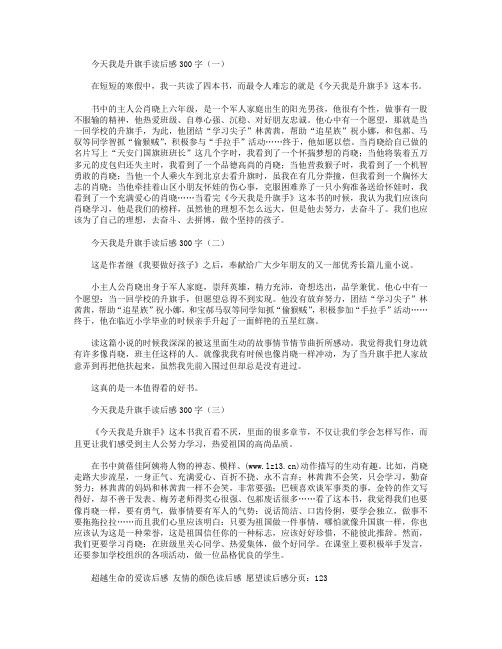 今天我是升旗手读后感300字