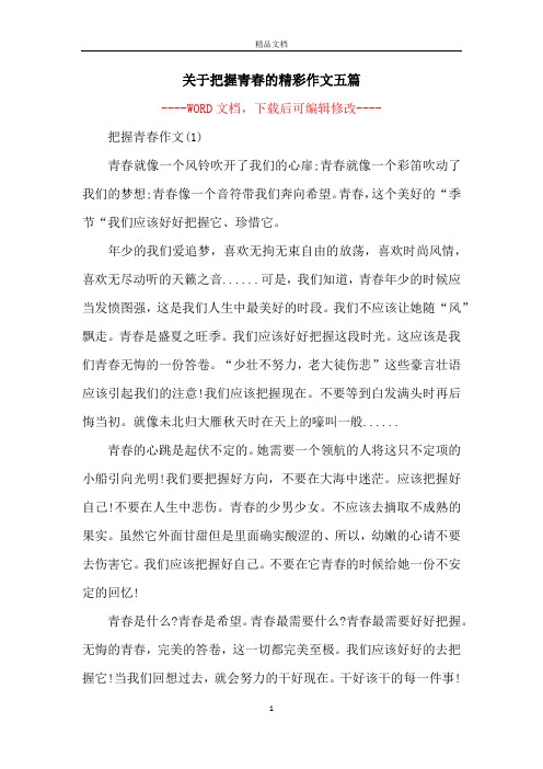 关于把握青春的精彩作文五篇