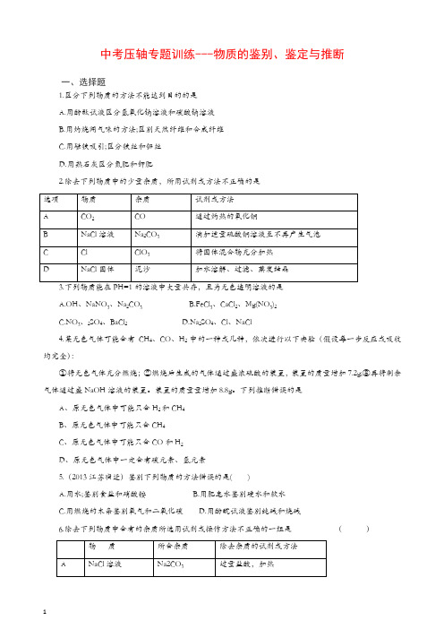 新人教版中考化学专题训练：物质的鉴别、鉴定与推断(含详解)