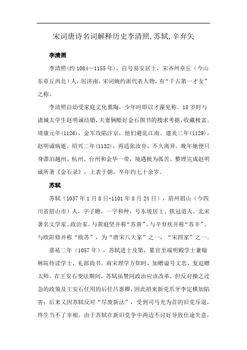 宋词唐诗名词解释历史李清照,苏轼,辛弃矢